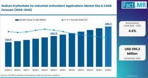 United States Sodium Erythorbate for Industrial Antioxidant Applications Market