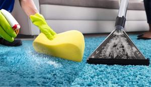 Steve’s Carpet Care & Restoration