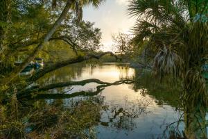 Landscape of ChoZen Center for Regenerative Living in Sebastian Florida with native vegetation and natural surroundings