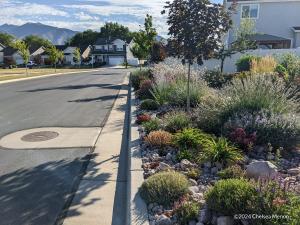 Waterwise hellstrip garden in Spanish Fork Utah with drought-tolerant plants, gravel landscaping, and mountains in the background.
