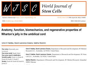 umbilical cord function