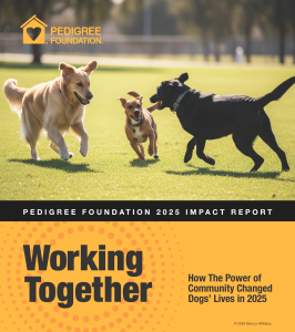 PEDIGREE Foundation 2025 Impact Report Cover