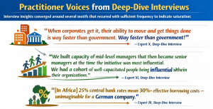 Infographic of practitioner voices from the PlayBook's deep-dive interviews, citing corporate speed, mid-level leadership influence, and Africa's 25 per cent central bank rates