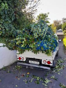Garden waste removal in Cape Town