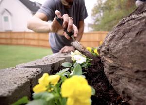 DIAW Maintenance Plan – flowerbeds