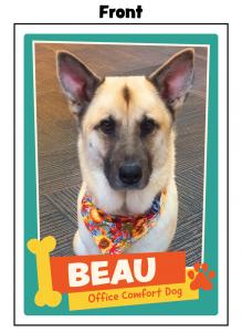 Design your own custom trading cards and turn your creativity into collectible art! These 2.5 x 3.5-inch cards are fully personalized—perfect for showcasing anything from pets and family to sports teams, artwork, or business branding