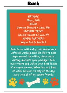 Each card is printed in vibrant, full color on durable, glossy cardstock, giving it the same look and feel as a professional sports card.