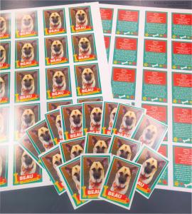 Upload your images, text, logos, or stats to make each card unique. The front can feature a photo, illustration, or design with your chosen name or title, while the back can include biographies, fun facts, or custom messages