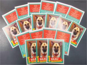 Upload your images, text, logos, or stats to make each card unique. The front can feature a photo, illustration, or design with your chosen name or title, while the back can include biographies, fun facts, or custom messages