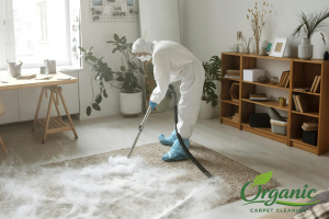 organic carpet cleaning