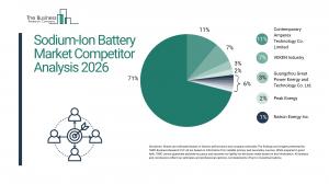 Sodium-Ion Battery Market Overview