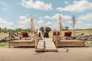 African Bush Camps Hero Banner