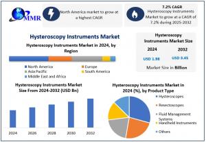 Hysteroscopy Instruments Market