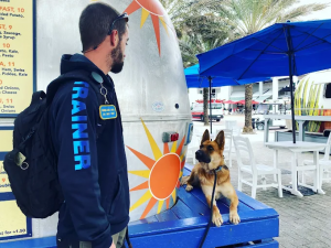 30A Off leash k9 training