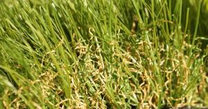 close up of SuperSoft Deluxe artificial turf fibers with field green, olive green blades and beige thatch for realistic natural look