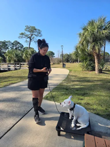 Santa Rosa Off Leash K9 Training