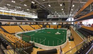 Indoor Soccer Court Walls