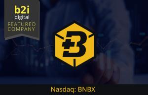 BNB Plus (NASDAQ: BNBX) completes record $1.2M LineaRx order, showcasing scalable DNA manufacturing capabilities.