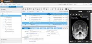 Logicaldoc screenshot with the preview side panel showing a frontal scan of the skull