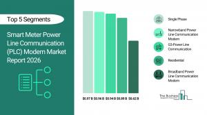 Smart Meter Power Line Communication (PLC) Modem Market Report 2026_Segment