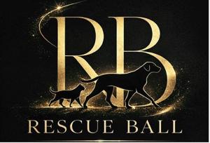 Rescue Ball (Image Credit: NYC SCR)