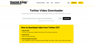 Twitter (X) Video Downloader