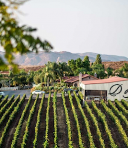 Doffo Winery Temecula California event location for real estate networking and commercial real estate workshop