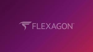Flexagon Company 
