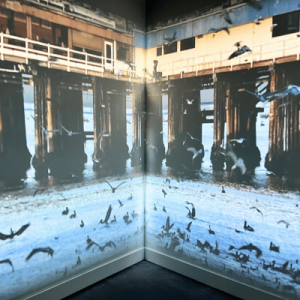 Projection of a waterfront scene with a dock, pillars, birds on the water, and a person walking on the dock railing.