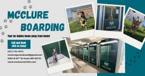 McClure Vet Clinic Expands Services with New Pet Boarding and Grooming Options in Ozark, MO