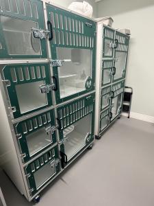 Cat Boarding Room Ozark MO