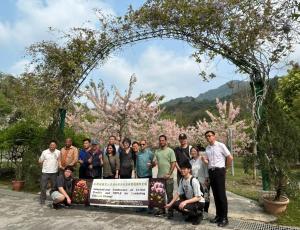 Pink flowering Cassia javanica trees in full bloom in Nanhua, Taiwan, along a rural landscape highlighting seasonal blossoms and ecological tourism scenery.