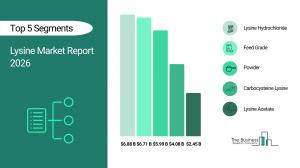 Lysine Market Overview