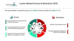Lysine Market Size