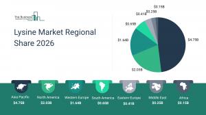 Lysine Market Growth