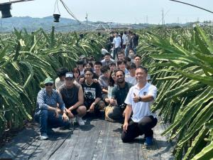 Dragon fruit plantation in Dongshan District, Tainan, with rows of cactus-like plants and farmers demonstrating sustainable agriculture practices.