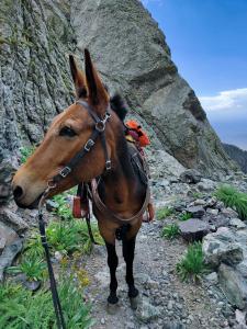 Personal injury lawyer Colorado springs