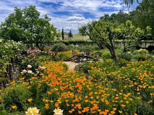 Guests at Canard Vineyard enjoy tastings surrounded by lush gardens that highlight the winery’s connection to the land.