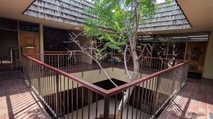 San Jose Office Location Courtyard - Solutionarian Marekting & Web Design