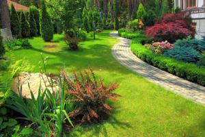 An S-curved gray paver garden path winding through lush landscaping with red maples, boxwood hedges, and a bright green lawn.