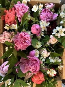 Donkeys, Donuts, & DIY Peonies Flyer