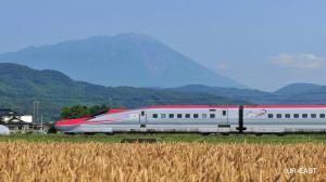 A sleek red and silver JR East Shinkansen train speeds through a sun-drenched golden field against the backdrop of a towering mountain.