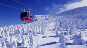 Marvel at the frozen trees known as "Miyagi Zao Snow Monsters" from January to early March