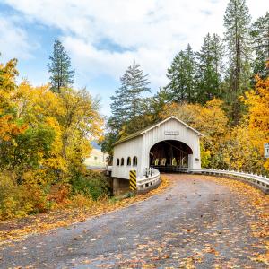 A scenic view of the white Rochester Covered Bridge in Oakland, Oregon, surrounded by vibrant yellow and orange autumn foliage.