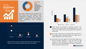 Protein Hydrolysate Market