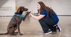 trade school for pet professionals wins 3 new awards