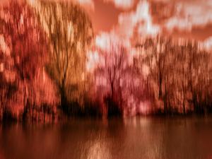 The Passion of Nature – Abstract ICM landscape photograph with red, rose, and amber tones, blurred trees, water, and painterly motion