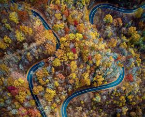 Wise Outdoors during Fall