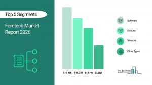 Femtech Market Report 2026_Segment