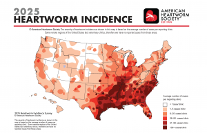 The 2025 American Heartworm Society Incidence Map uses shades of red to show that the southern and southeastern United States have the highest incidence of heartworm cases in dogs. Meanwhile, every state in the contiguous U.S. and Hawaii have colored area